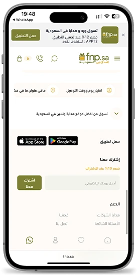 إف إن بي السعودية