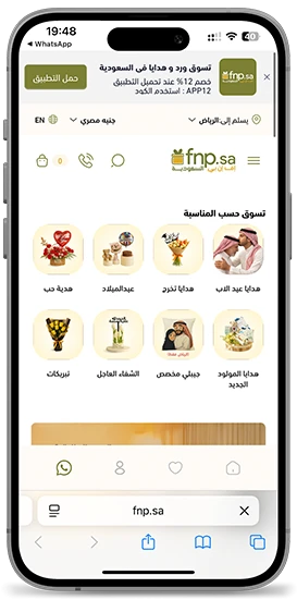 إف إن بي السعودية