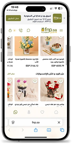 إف إن بي السعودية